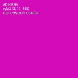 #D40BB9 - Hollywood Cerise Color Image